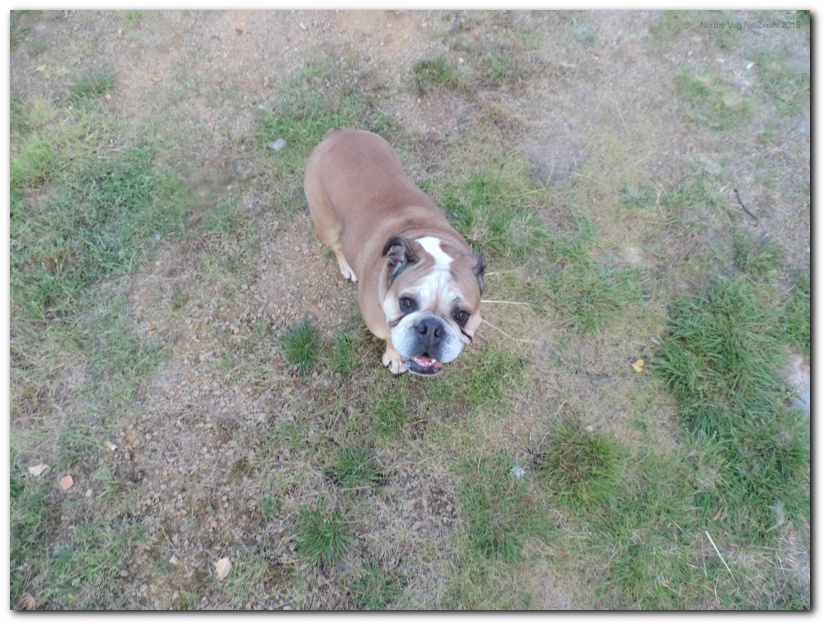 802x601 pixels (248K)