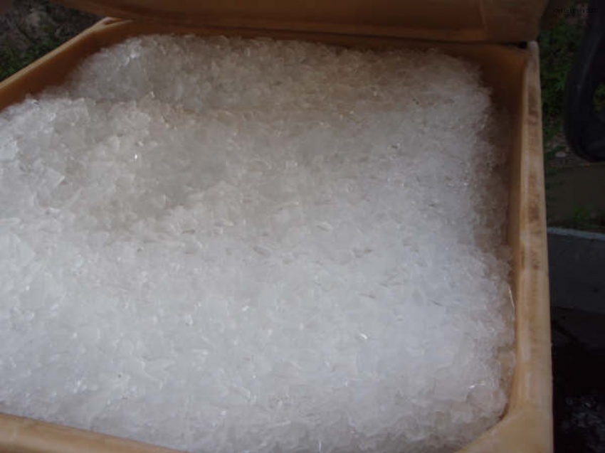 850x637 pixels (97K)