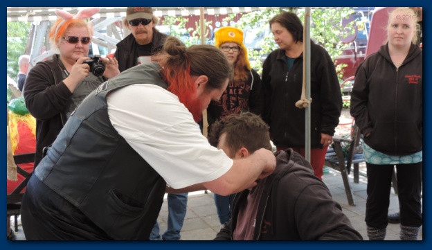 602x338 pixels (88K)