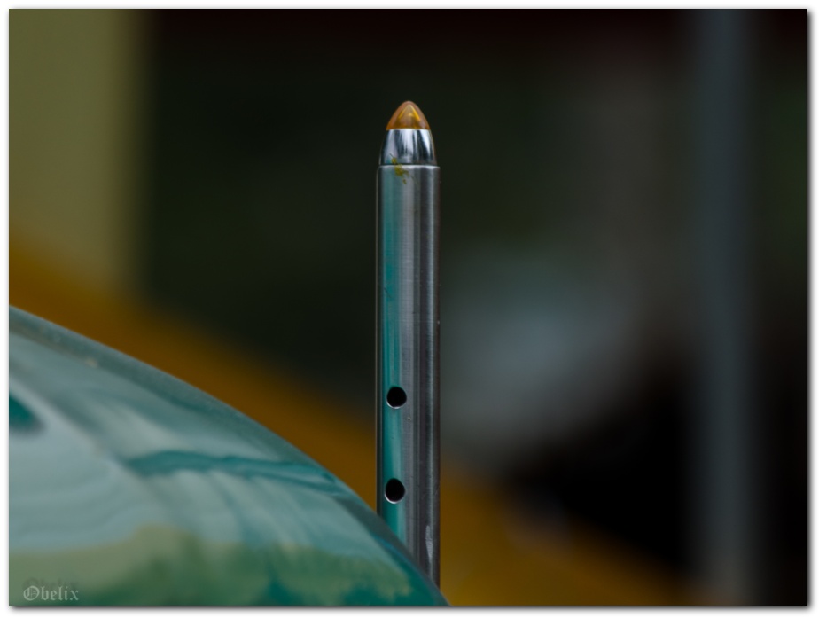 902x674 pixels (81K)